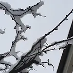 Casa Il Giardino Fiorito 度假居 *